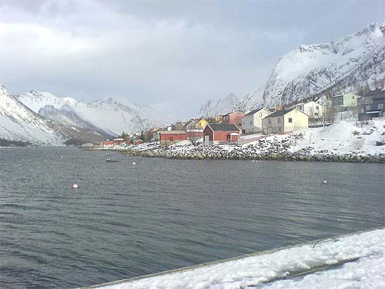 Gryllefjord
