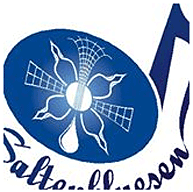 Saltenbluesen