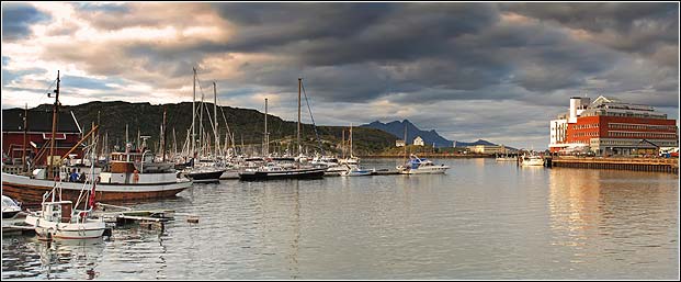 Bodø havn