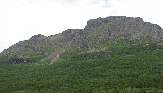 Bortusskartinden