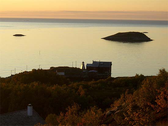 Bøvær på Senja