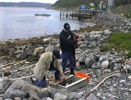 Fisketur