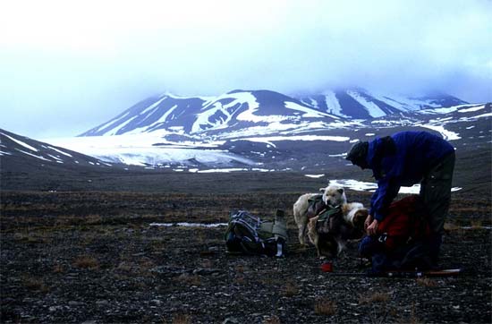 Fottur på Svalbard