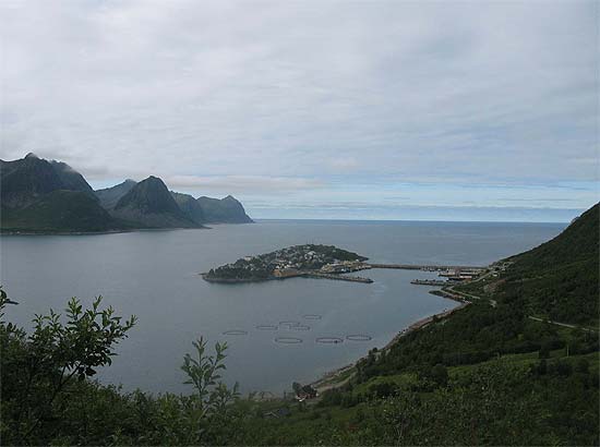 Husøy på Senja