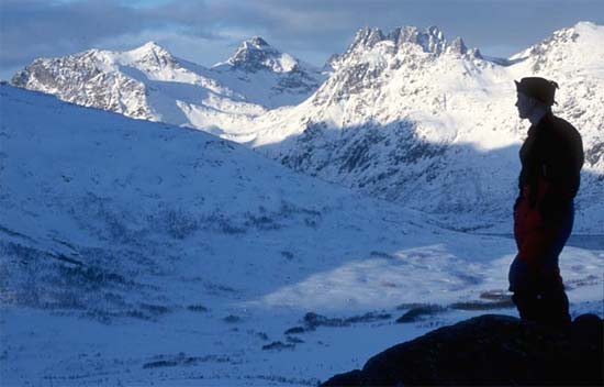 Kattfjordeide