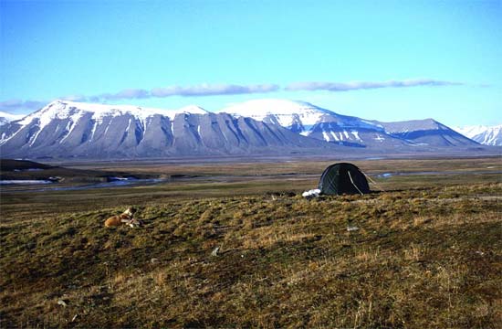 Semmeldalen