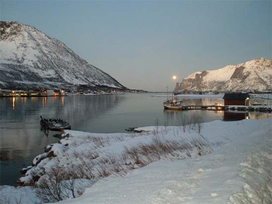 Senjahopen