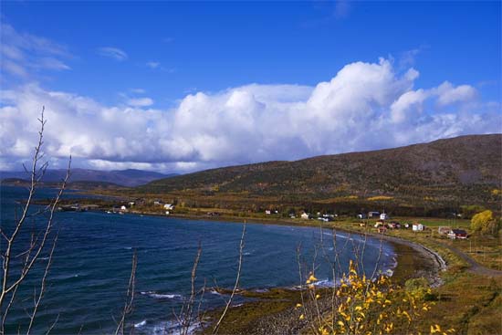 Skatvika