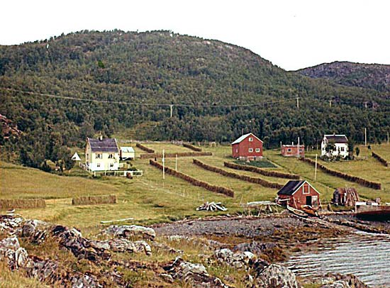 Småbruk ved Hamneidet