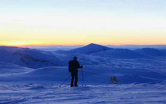 Sola på tur tilbake